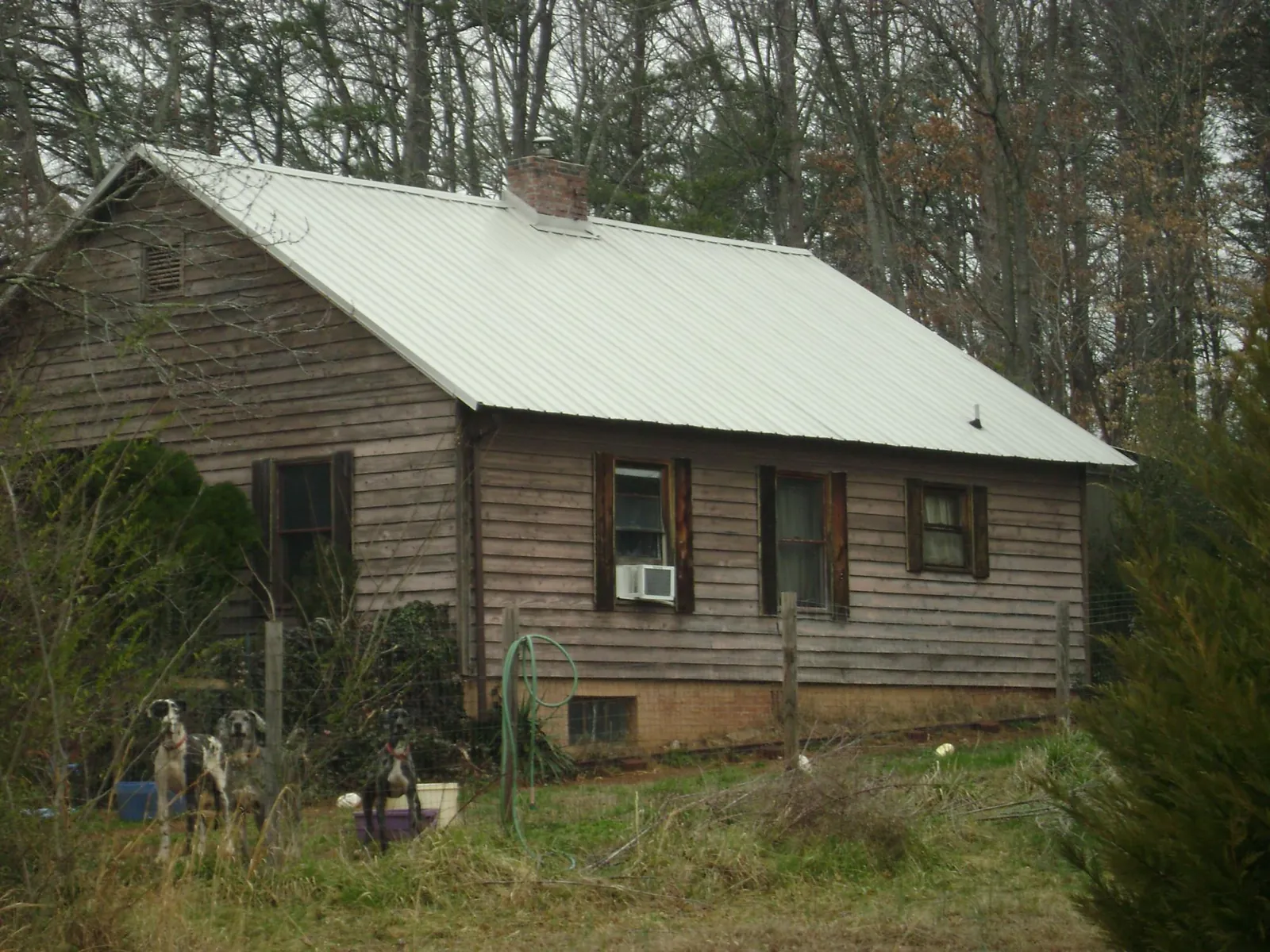 White metal roof on an old wood sided farmhouse, from a Asphalt Shingle Roof Repair job in Towanda